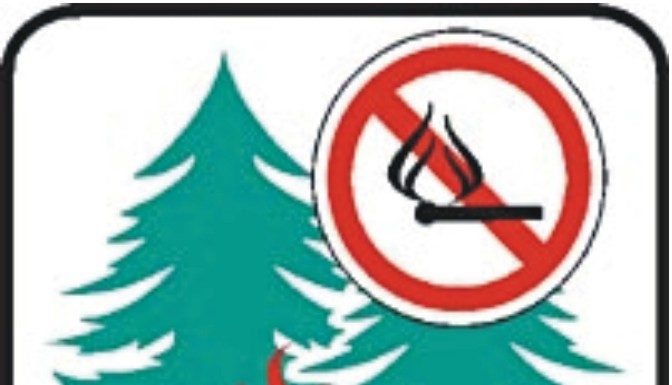 WALDBRANDGEFAHR: Erlass eines Feuerverbotes