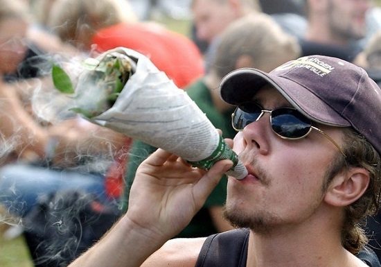 Regierung nimmt Stellung zum Umgang mit Cannabis