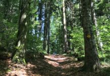 Zwei vermisste Mädchen aufgefunden