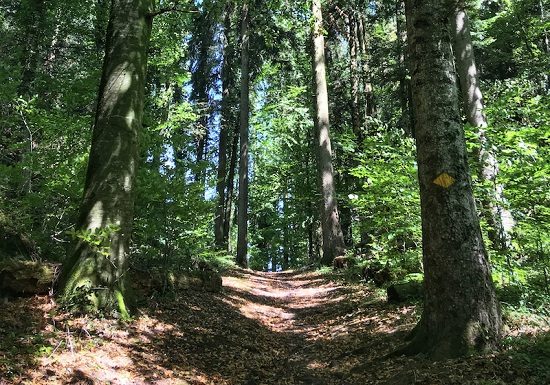 Zwei vermisste Mädchen aufgefunden