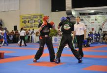 Kickbox-Junioren-WM: Luca Wanger knapp geschlagen