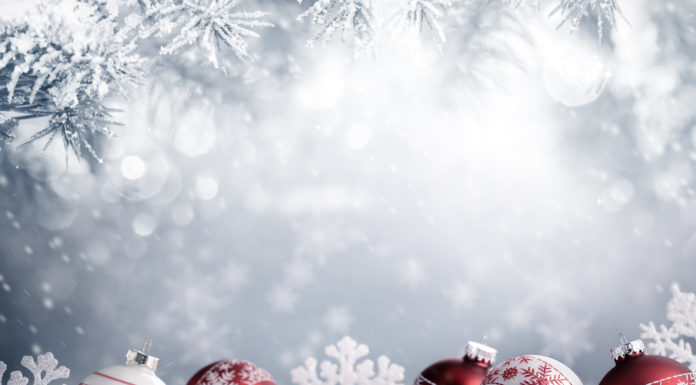 Neujahrsbotschaft von Landtagspräsident Albert Frick