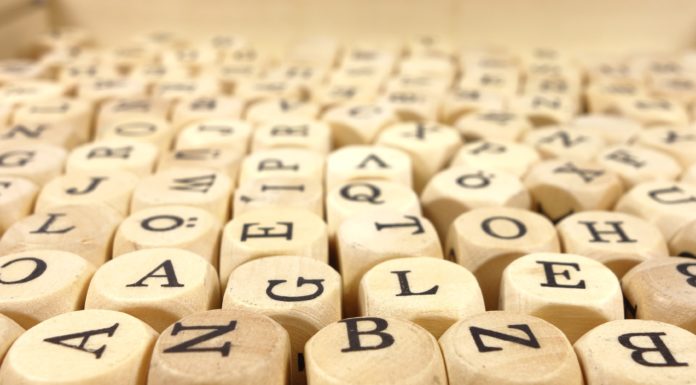 «Blockchain-Euphorie» ist das Wort des Jahres