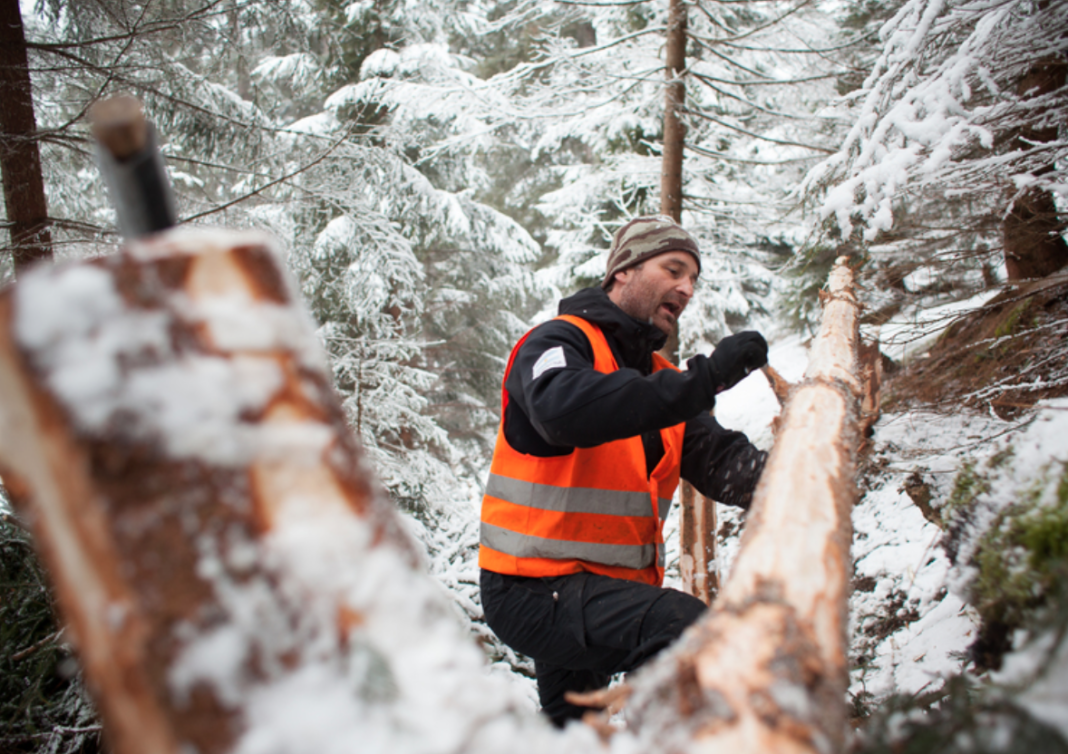 Bildschirmfoto 2019-01-15 um 15.53.13