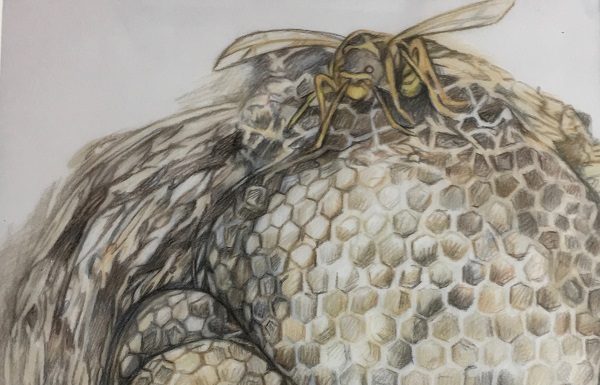 Wenn der Schein trügt …