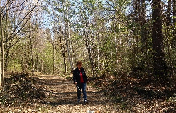 Gesundheit: Abschalten und Auftanken im Wald
