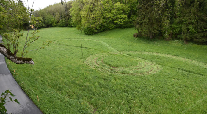 Flurschaden auf Wiesland