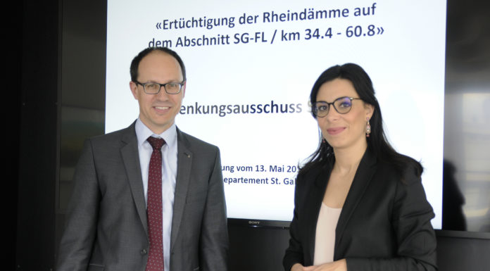 Verbesserung des Hochwasserschutzes am Alpenrhein