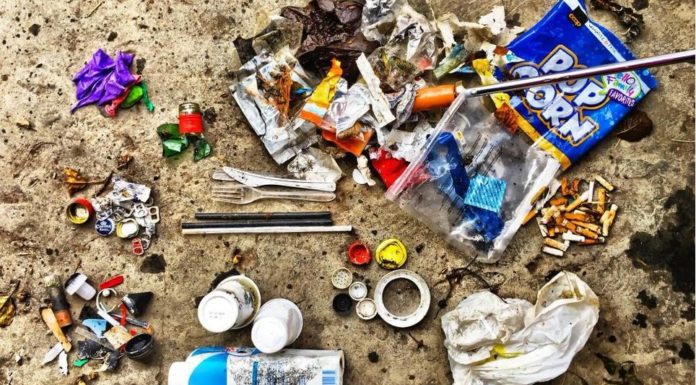 Illegale Abfallentsorgung wird gebüsst