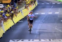 Südafrikaner gewinnt 9.Tour-Etappe