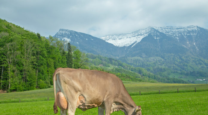 Hohe Anforderungen – 25 Betriebe ausgezeichnet