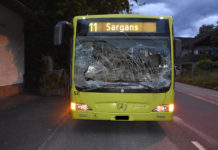 Einbruchsversuche in Schaanwald