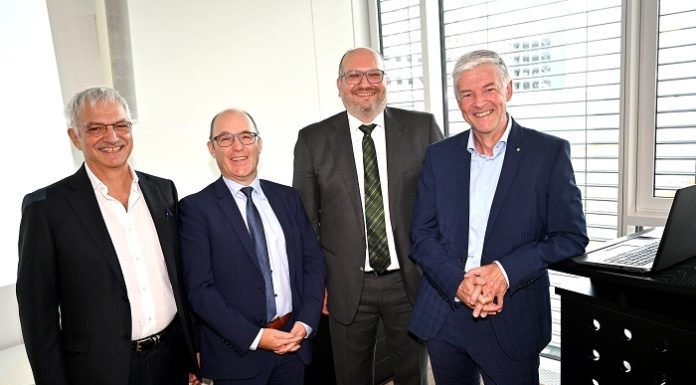 Die Zukunftsaufgaben Liechtensteins