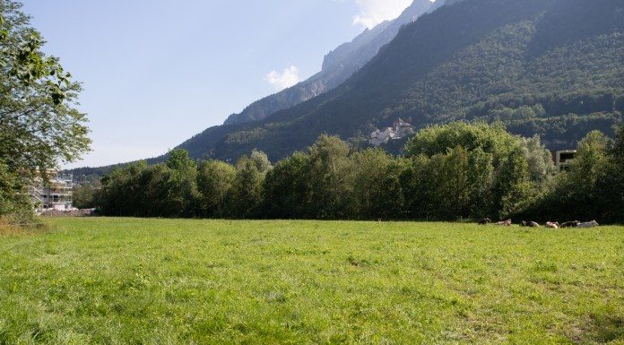 Spital-Neubau Vaduz: JA-Parole der VU