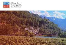 Wissenschaftliche Arbeit zum Thema «Erfolgsfaktor Institutionenvertrauen»