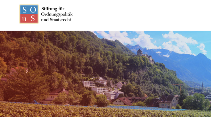 Wissenschaftliche Arbeit zum Thema «Erfolgsfaktor Institutionenvertrauen»