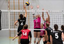 Volleyball: Galina Damen verlieren Heimspiel