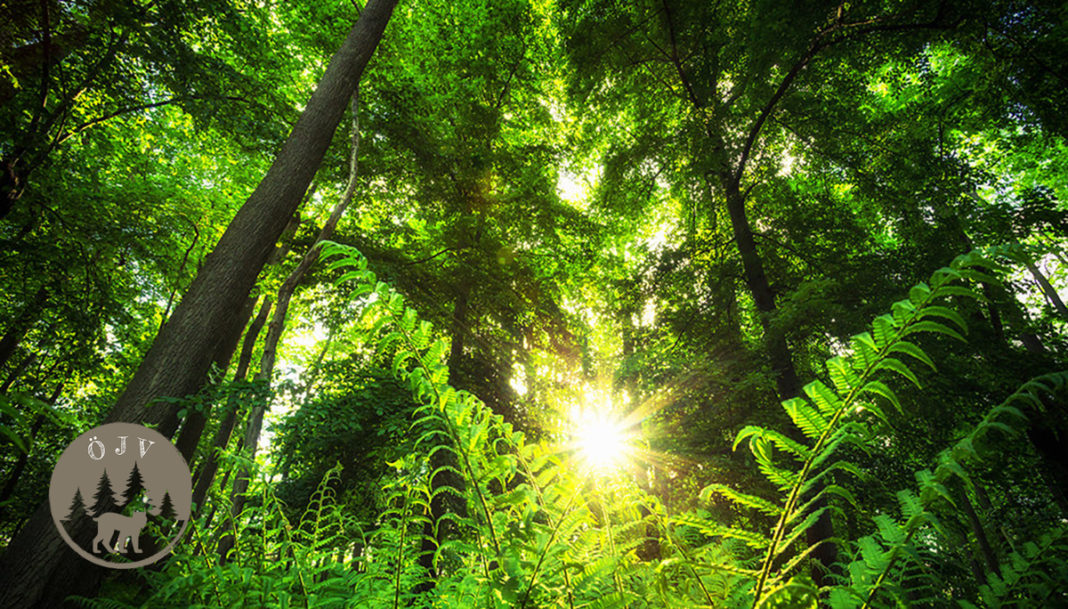 d01aaa_51b8a36b2a3c4cfd816fe825f6b9182c~mv2