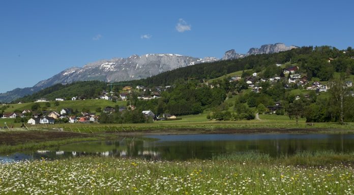 Grenzänderungsvertrag mit Österreich