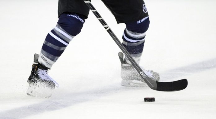 Eishockey: Auf den Spuren der Bulldogs