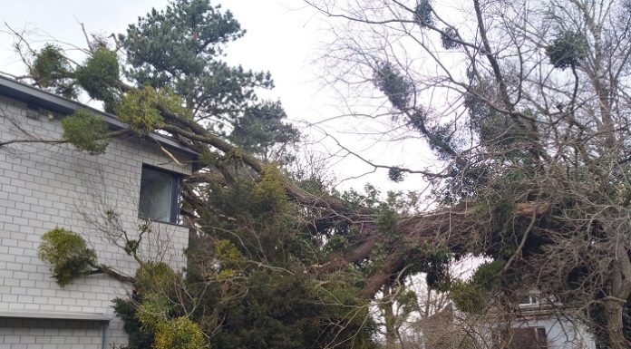 Liechtenstein: Mehrere Schäden aufgrund des Sturms