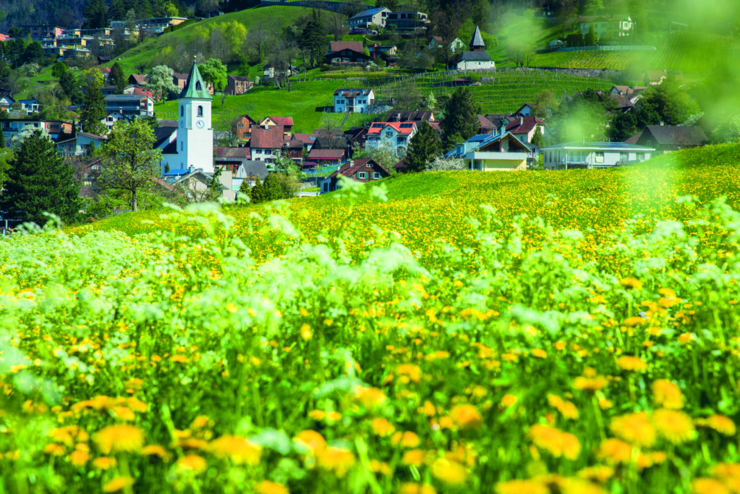 Triesen_Dorfansicht_Fruehling