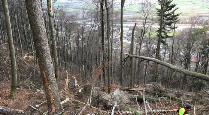 Sturmtief Sabine hinterlässt auch in Liechtenstein seine Spuren