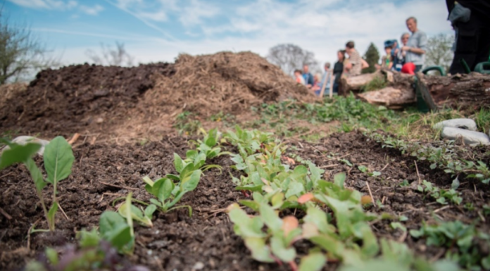Der Vielfalt auf der Spur
