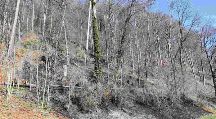 Heiligkreuz (Mels): Waldstück in Brand geraten