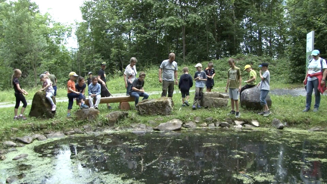 Screens_Film_17.15.53