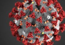 Südafrikanische Virus-Variante in Vorarlberg nachgewiesen