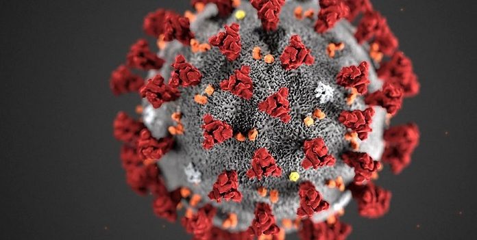 Coronavirus: Über 20’000 Infizierte in der Schweiz
