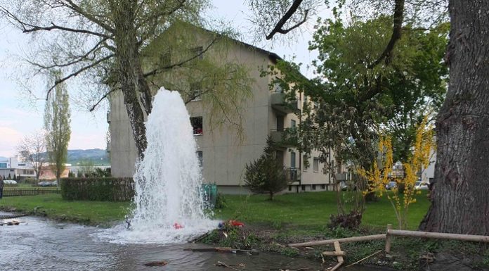 Altenrhein: Angetrunken Hydrant umgefahren