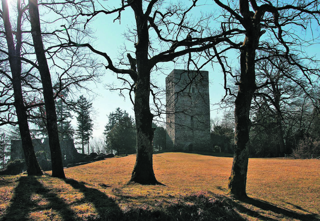 Tostner Burg 2, grösseres Bild.jgp