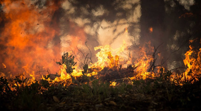 Warnung vor grosser Waldbrandgefahr