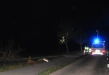 Zuckenriet: Bei Selbstunfall schwer verletzt