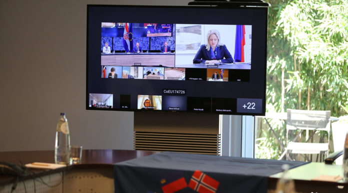 EWR-Rat per Videokonferenz: Enge Partnerschaft trotz Krise