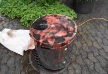 Rorschacherberg: Brand im Kellerraum