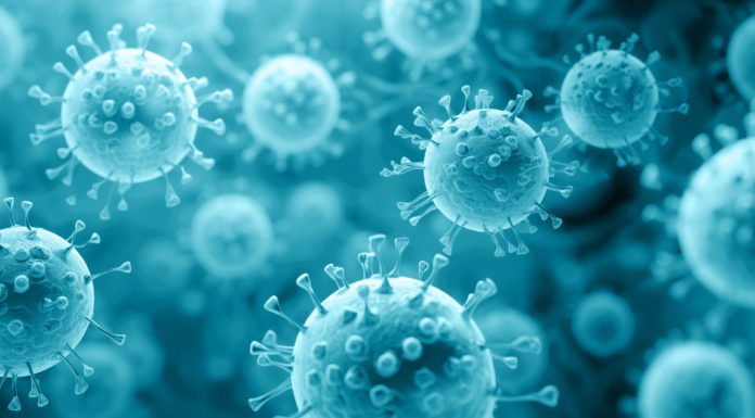 CORONA: Zwei weitere Fälle innert des letzten Tages