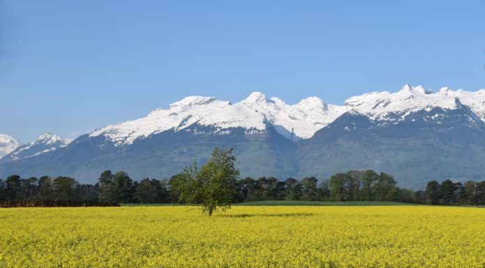 Naturschönheiten zwischen Ruggell und Balzers