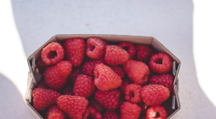 10 Tipps rund um Himbeeren