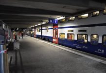 Mann stürzt unter anfahrenden Zug