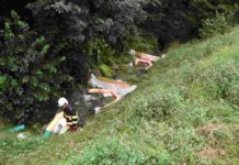 Nesslau: Heizöl gelangt in Bach