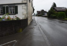 Bütschwil: Reiterin bei Unfall unbestimmt verletzt