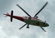 Wanderer von Mutterkuh angegriffen– drei Verletzte