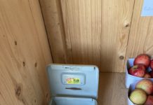 Region Fürstenland: Mutmasslicher Hofladendieb festgenommen