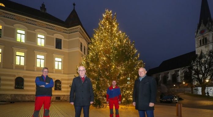 Schaaner Weihnachtsbaum schmückt Regierungsgebäude
