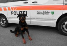Wittenbach: Polizeihund stellt Flüchtigen