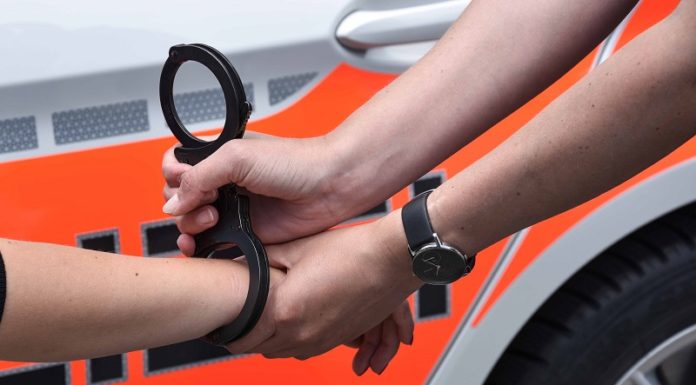 Vier Diebe festgenommen