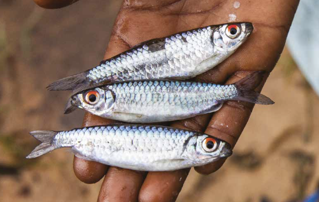 Bildschirmfoto 2021-02-23 um 08.16.48